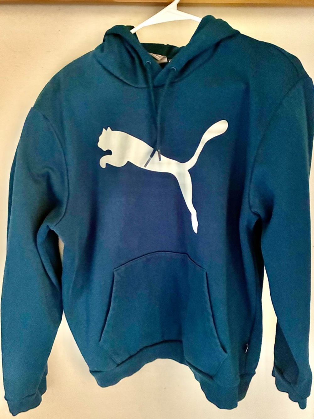 Authentic Puma Men's Teal Soft Hoodie